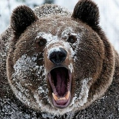 Игорь Сочин, 24.02