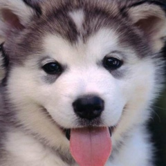 Александр Околодков, 12.10, Санкт-Петербург