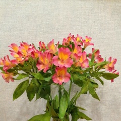 Татьяна Мошкина, Нижний Новгород