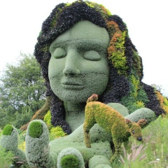 Анна Петрова, 01.01.1955, Москва