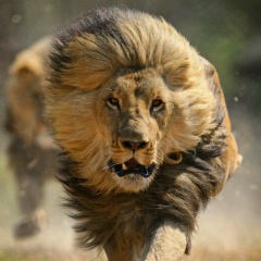 Серёга Моськин, Березники