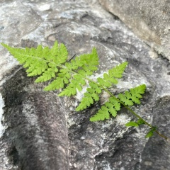 Виктория Колесова, 06.08.1979, Санкт-Петербург