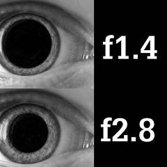 Андрей Ронин, 08.08