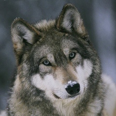 Жанибек Ибраймов, 10.09.1992, Актау