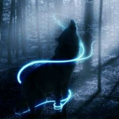 Андрей Лукс, 11.01, Ульяновск