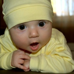 Милана Шевикова, 31.12.1980