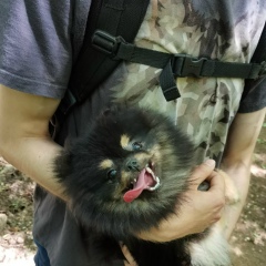 Александр Логинов, 04.01.1985, Самара