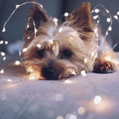 Анастасия Сухарева, 02.04, Monaco