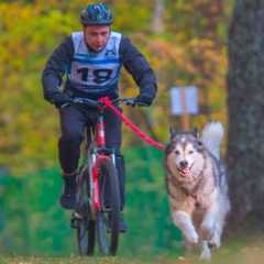 Александр Шалин, 02.03