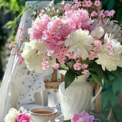 Зульфия Ахмет, 04.08.1996, Алматы