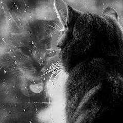 Владимир Ли, 27.03.1988, Каскелен