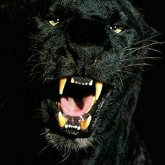 Ира Олейник, 23.10.1993