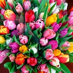 Оксана Рябоконь, 22.12, Киев