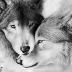 Слава Умрихин, 01.08.1991, Новосибирск