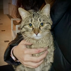 Альбина Сетвалдиева, 22.07.1986, Алматы