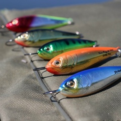 Виктор Завгородный, Орёл