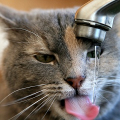 Андрей Поздняков, Москва