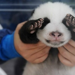 Настя Глазкова, 04.01, Москва