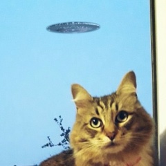 Алексей Старовойтов, 19.05.1989