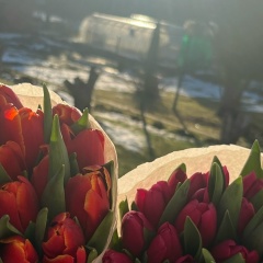 Наталья Алексеева, 14.01, Praga