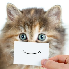 Алена Тутыгина, 12.10