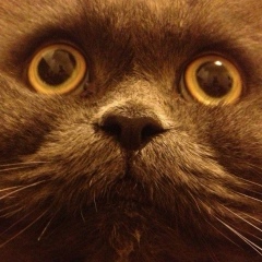 Марк Спас, 30.04, Berlin