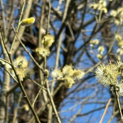 Татьяна Назина, 20.08.1975, Москва