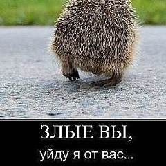 Анатолий Ларин, 19.04, Севастополь (село)