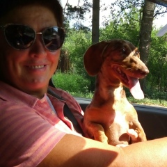 Людмила Дымнич\Процив\, 04.01, Отрадное