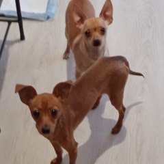 Василий Баженов, 19.03, Пермь