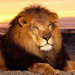 Павел Токарев, 14.06, Череповец