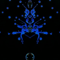 Эдик Левицкий, 19.11, Москва