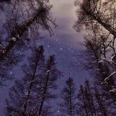 Максим Пылаев, 11.05, Подольск