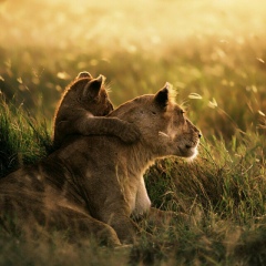 Іра Мельник, 06.08