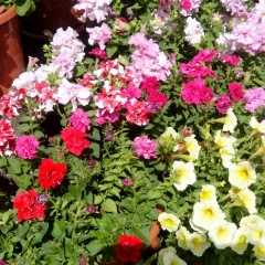 Андрей Журавлев, 19.01.1974, Алешкин-Саплык