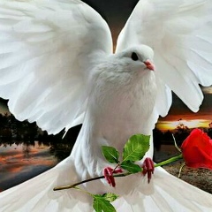 Гулнур Толеген, 03.02.1980, Алматы