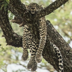 Иван Чувилин, 21.10.1987, Ростов-на-Дону