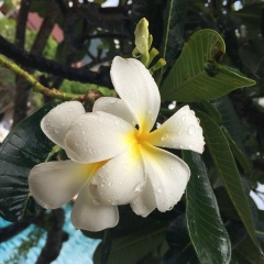 Александр Пашкевич, 07.03.1990, Bangkok