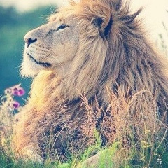 Асеке Мырзагалиев, 05.11, Алматы