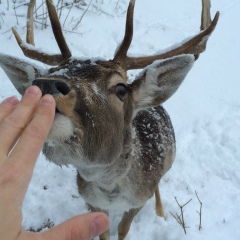 Саша Грабарь, 08.10.1988