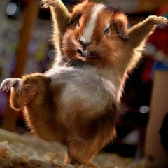 Вероника Баранкова, 14.06, Казань