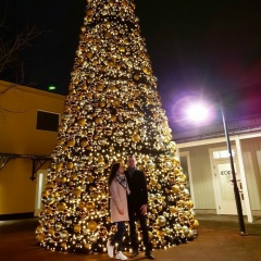 Александр Ромалийский, 05.12, Измаил