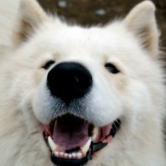 Мы Дозорные, 31.03, Тверь