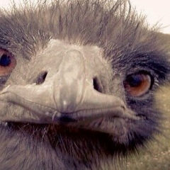 Евгений Юрьевич, 21.09, Москва