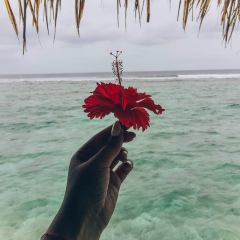 Евгения Харитонова, 19.02.1989, Москва