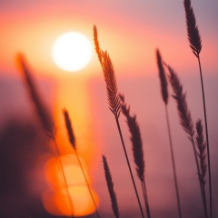 Кама Тлеуханова, Актау