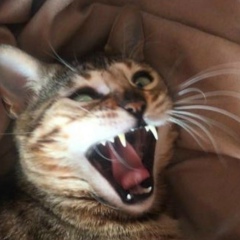 Олег Бирюков, 14.03.1989, Москва