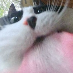 Денис Жегалов, 19.01.1981, Пестово