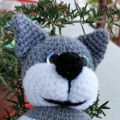 Антон Лобин, Санкт-Петербург