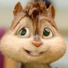 Хамурза Батыжев, 11.12, Lyon